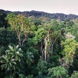 My Life for the Land